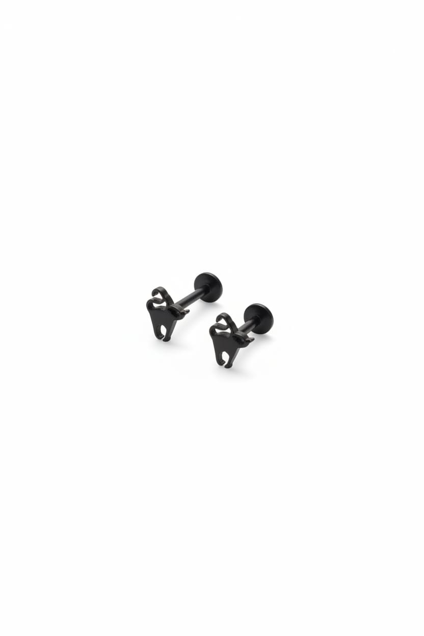No003-004-Piercing1